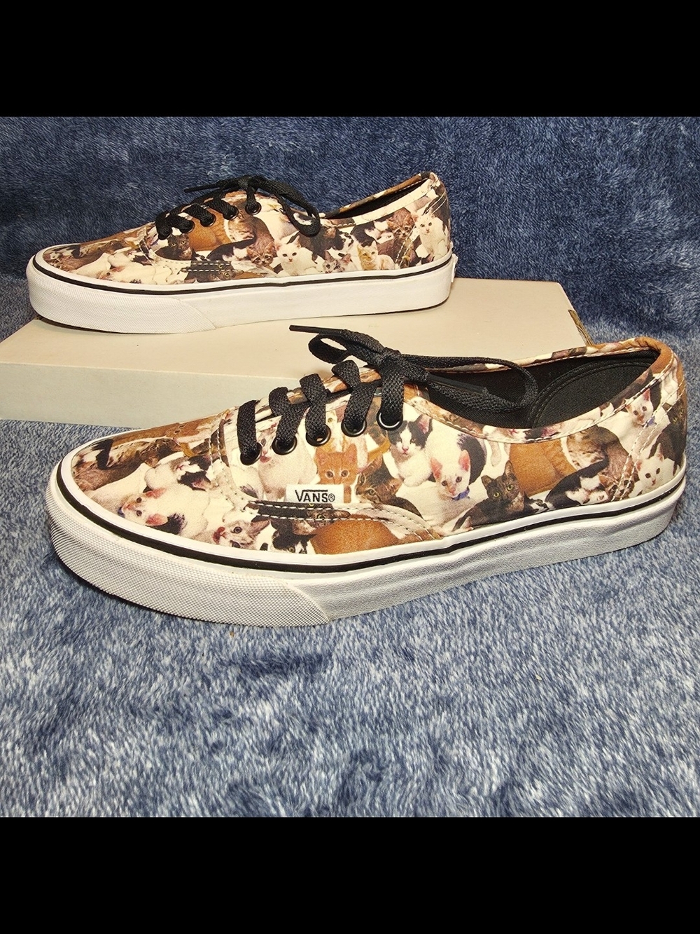 Vans Authentic (ASPCA) Kittens/True White sneakers